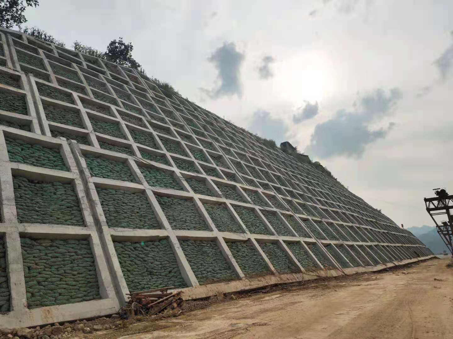 唐山黃龍高速公路綠化1標段